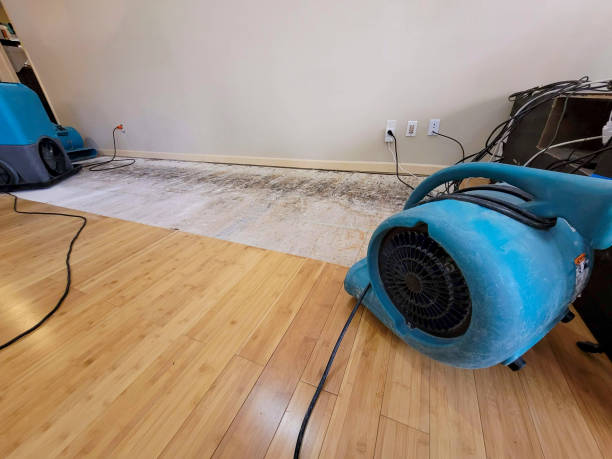 Professional Basement Flood Cleanup technician working in Lafayette, OR
